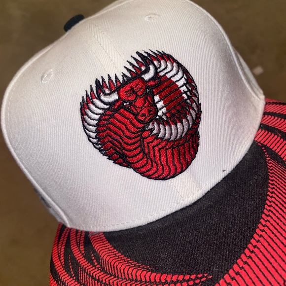 Chicago Bulls SnapBack (BMO Harris Collectors Item) - Picture 7 of 7